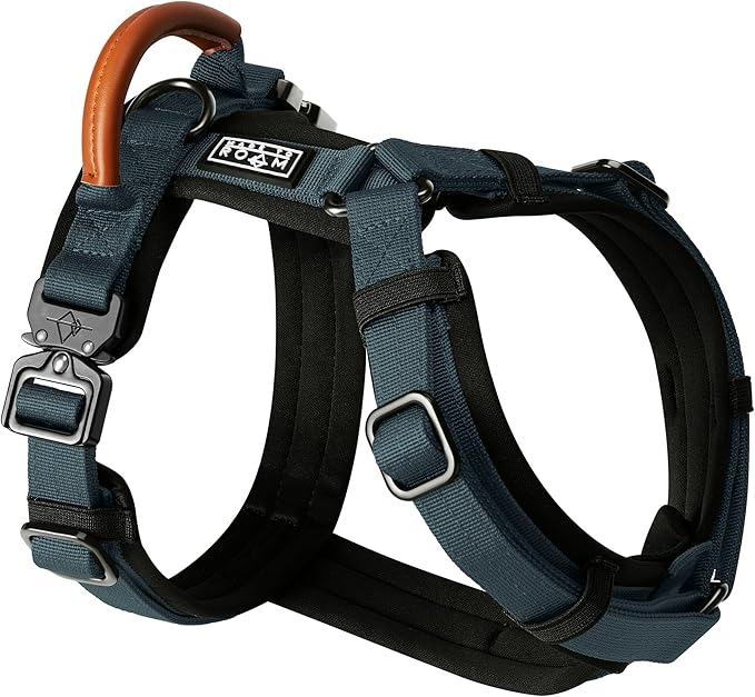 MADE TO ROAM Premium Explorer Harness - Y-Shaped Dog Harness with Adjustable Durable Nylon, Soft Padding, Metal Buckles and Leather Handle for Small, Medium, Large Dogs (Colorado Nightsky, Size 4)