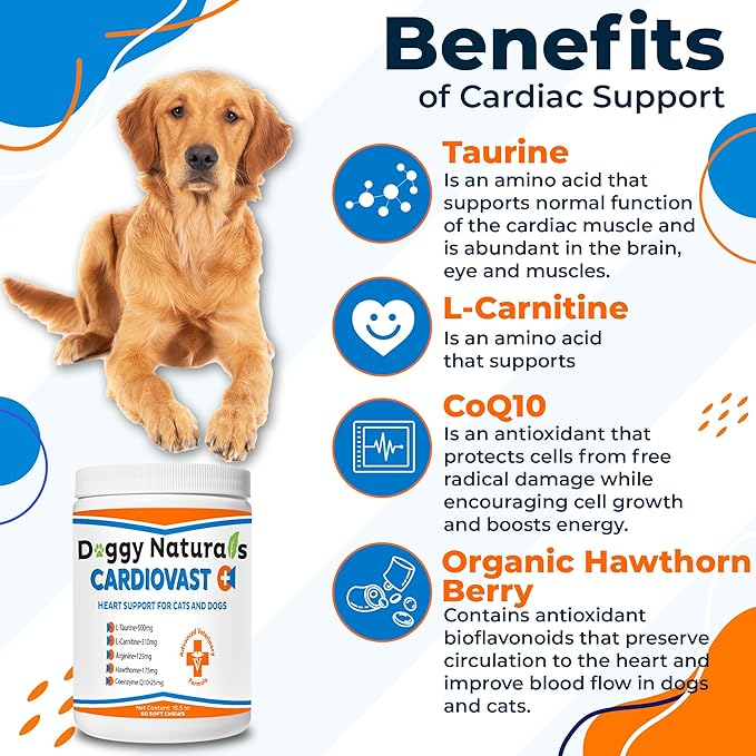 CardioVast Cardio Support and Cardio Strength Supplement for Dog and Cats, L-Taurine, L-Carnitine, Hawthorn, L Arginine, Coenzyme Q10-Supports Cardiovascular Heart Health - Made in USA - 60 Soft Chew