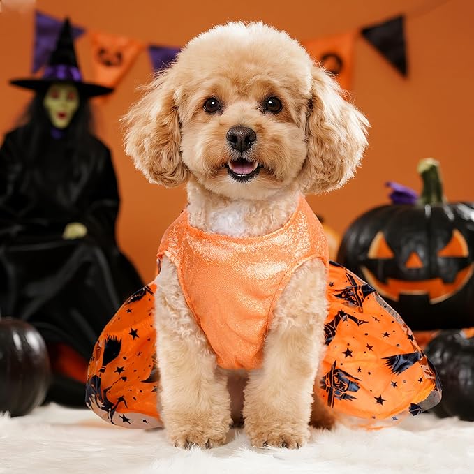 Dog Halloween Costume Dog Dress Witch Tulle Skirt Halloween Pet Clothes for Puppy Small Cats (Orange, Large)