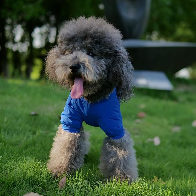LoveLongLong Dog Jumpsuit with UV Protection and Quick-Dry Fabric for Spring Summer Pet Pajamas Royel Blue M