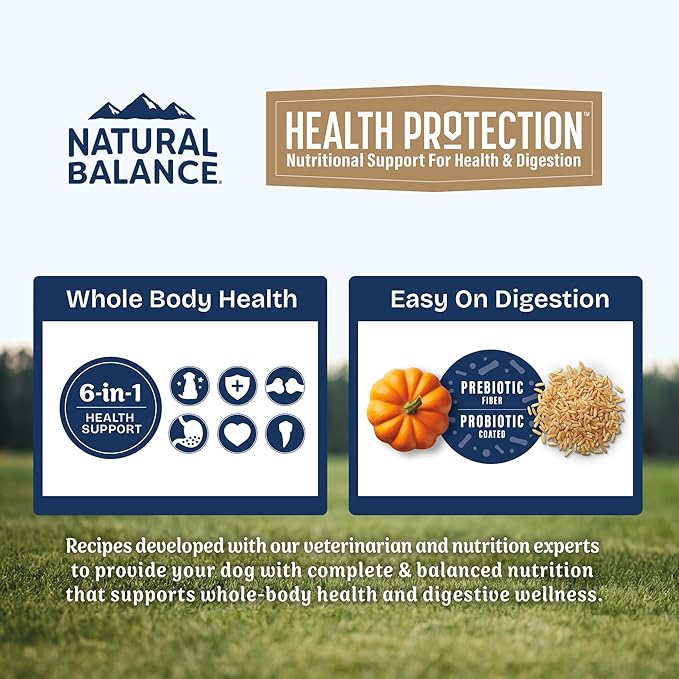 Natural Balance Health Protection Dry Dog Food – Whole Body Health, Easy on Digestion Dog Food Made with Salmon, Brown Rice & Pumpkin for Dogs - 4lbs.