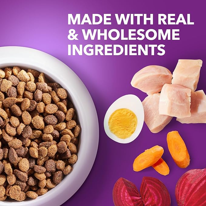 IAMS Advanced Health Healthy Digestion Adult Dry Dog Food with Real Chicken, 13.5 lb. Bag