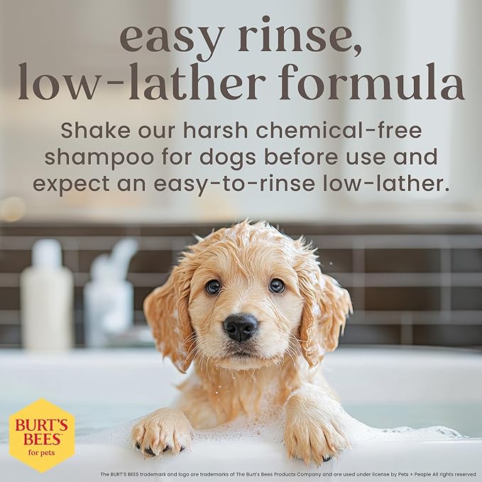 Burt's Bees for Pets Tearless Puppy Shampoo with Buttermilk, 95% Natural Origin Formulas, Shampoo for Puppies - Gentle Dog and Puppy Shampoo Tear Free, Best Puppy Shampoo Tearless, 32 oz