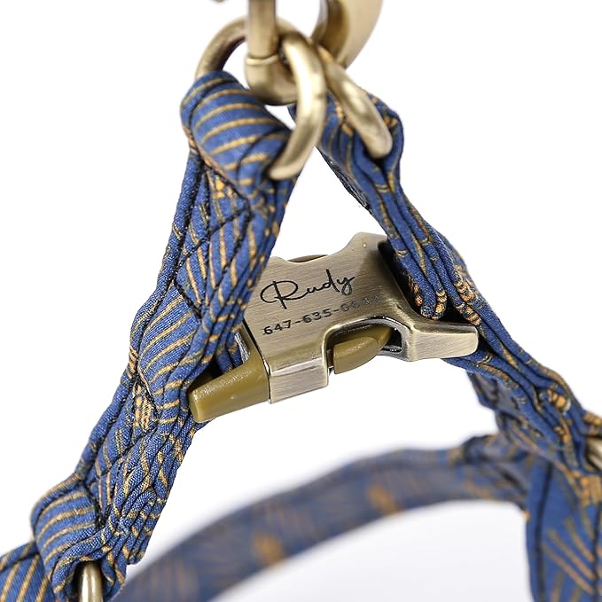 Angie and Allie Organic Cotton Personalized Step in Dog Harness,Custom Dog Halter Vests,Adjustable No Pull Canine Halter Harness for Small Medium Large Dogs