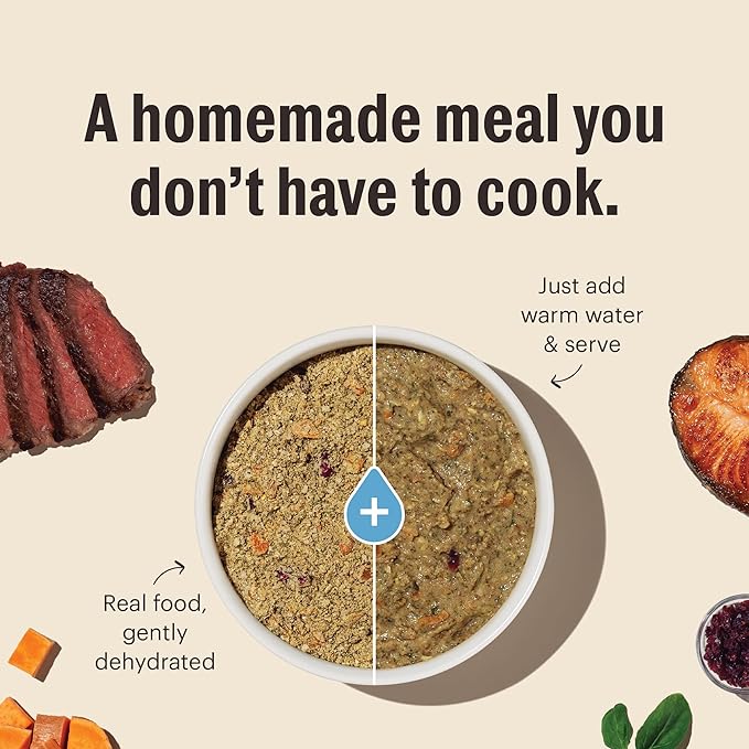 The Honest Kitchen Wholemade™ Whole Grain Turkey & White Fish Dog Food, 10 lb Box