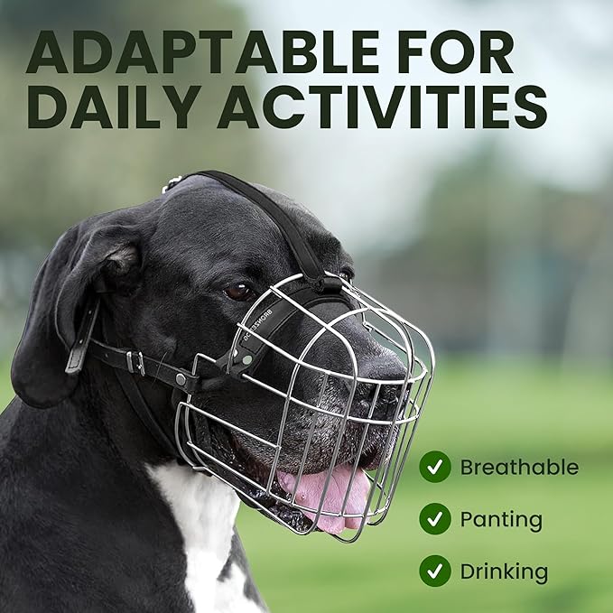 BRONZEDOG Dog Muzzle Adjustable Durable Metal Wire Basket for Large and Extra Large Dogs with Leather Straps Breathable, Drinkable, Training, Prevents Biting (Stainless Steel, Great Dane)