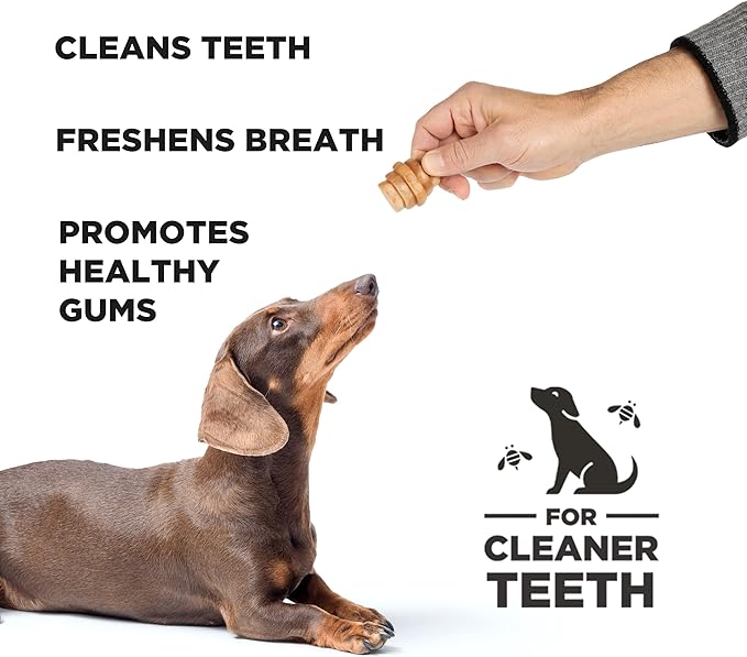 Hive Treats for Dogs — Healthy, Non-GMO Project Verified, Natural Peanut Butter Flavored, Natural, Vegetarian Chews, Made in The USA (Hive Chews, Small Breeds)