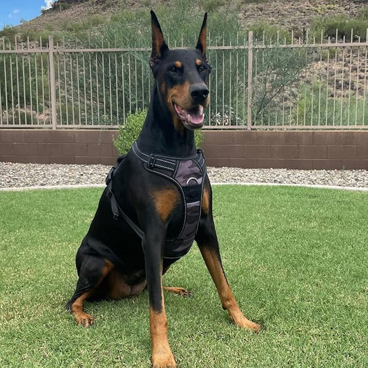 4Knines No Pull Dog Harness for Large Dogs – Adjustable Reflective Harness with Front & Back Leash Clips – Durable, Easy Control for Walks & Training (Camo)