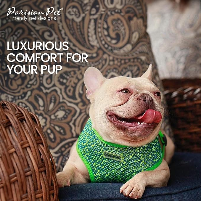 Parisian Pet Soft Padded Green/Blue Adjustable No Pull Puppy Harness - Cooling Dog Harness for Walking, Running, and Hiking - Small Size