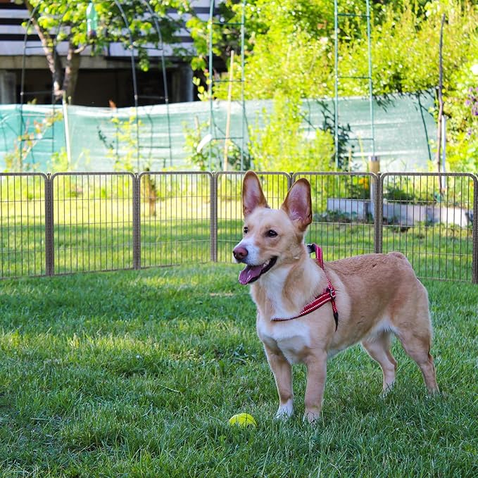 FXW Aster Dog Playpen Designed for Yard, 24inch 8 Panels