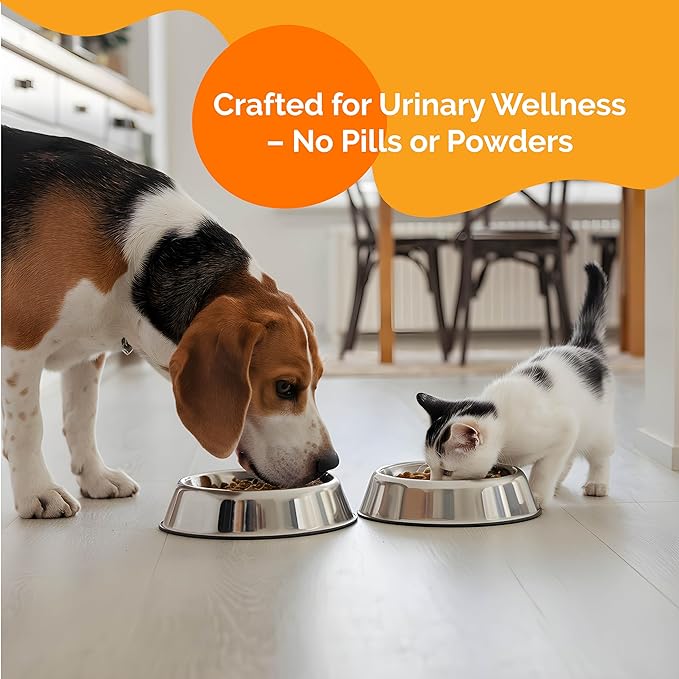 Urinary Tract Infection Treatment for Cat & Dog | Urinary Tract & Kidney Support for Pets | Bladder Infection Treatment | UTI Drops | Veterinarian Recommended