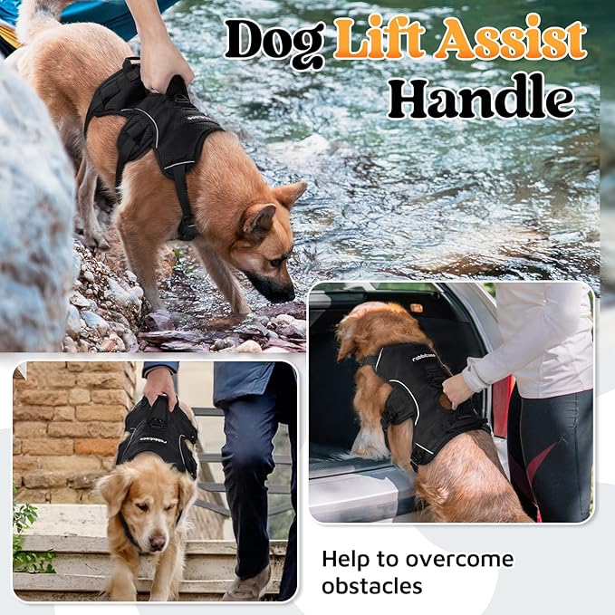 rabbitgoo Escape Proof Dog Harness, Soft Padded Full Body Pet Harness, Reflective Adjustable No Pull Vest with Lift Handle and Leash Clip for Large Dogs Walking Hiking Training, XL