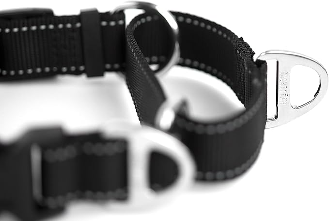 Mighty Paw Martingale Nylon Training Collar - Martingale Collar Dog - Limited Slip Design for Controlled Training - Reflective Stitching for Safety - Black Collars - Medium Size