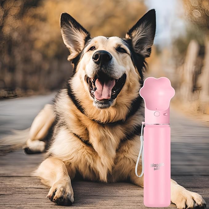 Stainless Steel Dog Travel Water Bottle, Vacuum Insulated Portable Dog Water Dispenser, Drink Cup and Snack Container On The Go, Outdoor Walking, Hiking, Travel (Pink, 22oz)