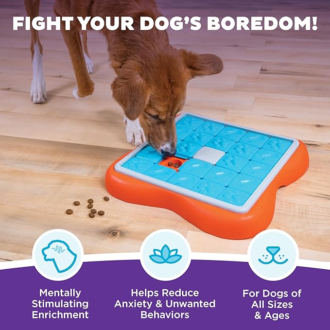 Outward Hound Nina Ottosson Challenge Slider Interactive Treat Puzzle Dog Enrichment Toy, Level 3 Advanced, Multicolored