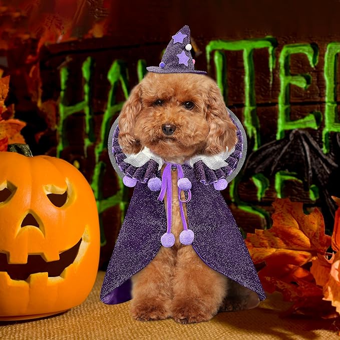 KOUPA Pet Halloween Costume with Hat, Dog Clothes Cosplay Wizard Cloak for Small Puppy Kitten Animal, Shiny Cat Outfit Suit for Party Holiday Christmas, Purple