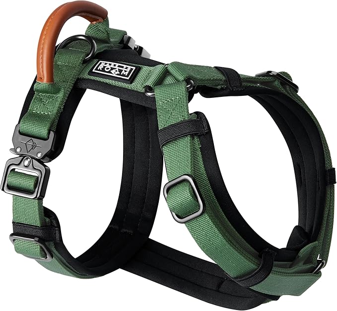 MADE TO ROAM Premium Explorer Harness - Y-Shaped Dog Harness with Adjustable Durable Nylon, Soft Padding, Metal Buckles and Leather Handle for Small, Medium, Large Dogs (Oregon Haze, Size 4)