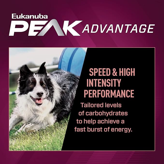 Eukanuba Adult Premium Performance 21/13 Sprint Dry Dog Food, 4.5 lb Bag