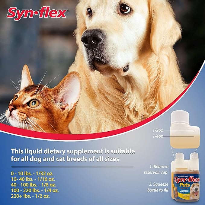 Concentrated Liquid Glucosamine for Dogs & Cats with Chondroitin: 1500mg High Potency, Boswellin, Yucca, Manganese for Mobility Support - USA Made, Beef Flavor