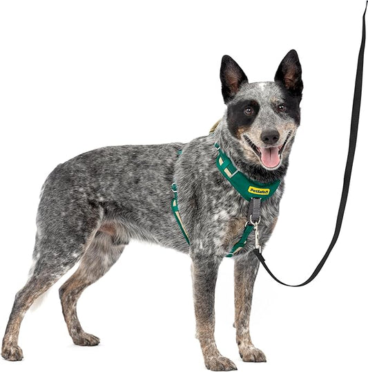 PetSafe Easy Walk Comfort No-Pull Dog Harness - Better Walk Training Harness - Full Body Padded Design - Durable Fabric - 5 Point Adjustable Fit - Everyday Leash Training - Green - Medium/Large