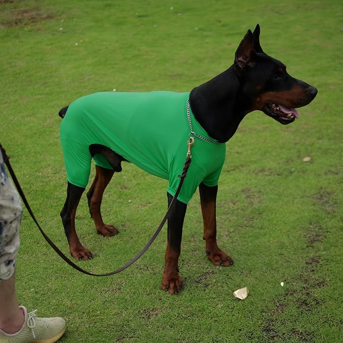 LoveLongLong Dog Jumpsuit with UV Protection and Quick-Dry Fabric for Spring Summer Pet Pajamas Leaf Green XL