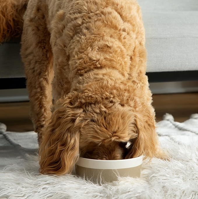 Waggo Dipper Ceramic Dog Bowl for Small and Large Breeds - Heavyweight and Durable Pet Food and Water Dish Crock, Dishwasher Safe, Modern (Vintage Grey, Small)