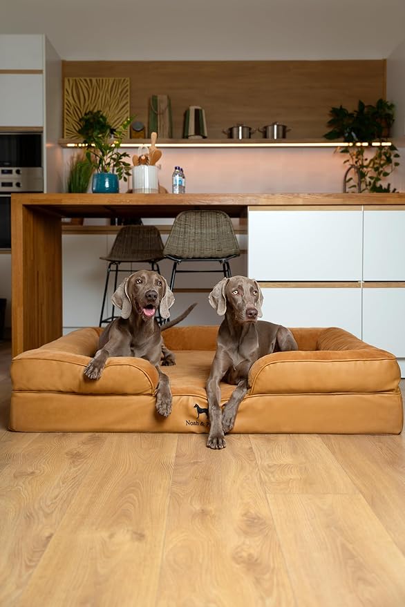 NOAH & PAW Giant Dog Bed XXL, 55x45x11 Inch, Orthopedic Dog Beds, Eggshell Memory Foam Infused with Cooling Gel, Inner Cover, Waterproof, Machine Washable (Faux Leather Sofa Collection)