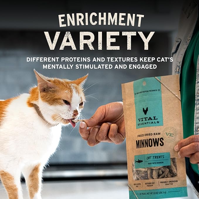 Vital Essentials Chicken Hearts Cat Treats, 1 oz | Freeze-Dried Raw | Single Ingredient | Grain Free, Gluten Free, Filler Free