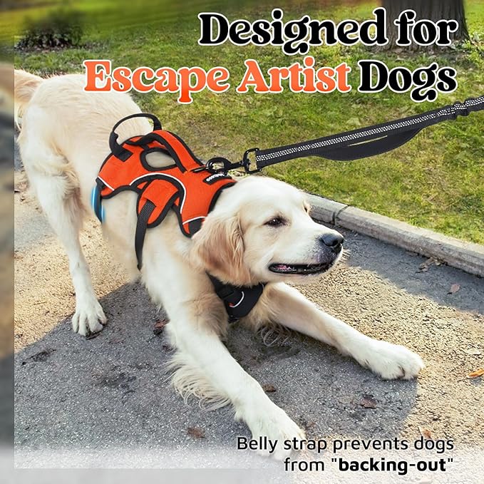 rabbitgoo Escape Proof Dog Harness, Soft Padded Full Body Pet Harness, Reflective Adjustable No Pull Vest with Lift Handle and Leash Clip for Large Dogs Walking Hiking Training, XL, Orange