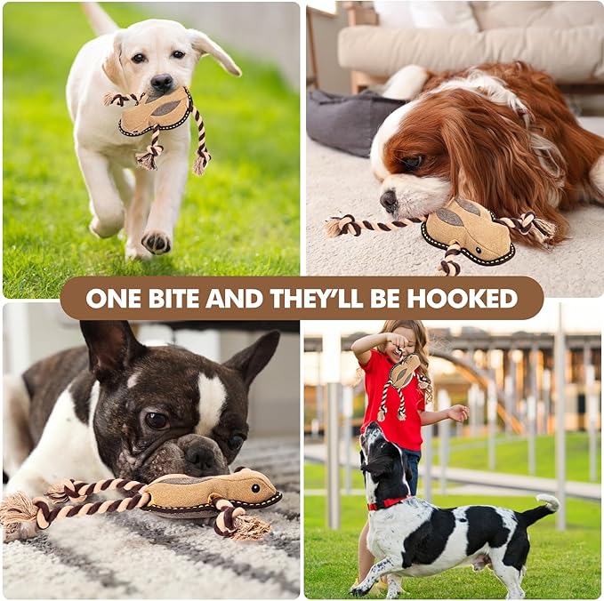 Tough Durable Squeaky Dog Toys for Aggressive chewers Interactive to Keep Them Busy, Funny Plush Dogs Toy for Small Medium Large (New Frog)