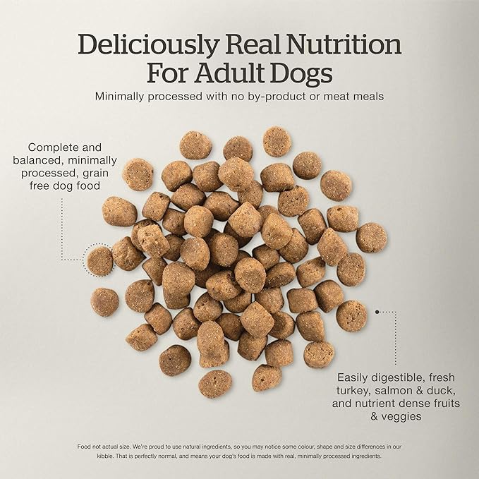 Now Fresh Grain-Free, Dry Dog Food, Real Meat and Fish, Turkey, Salmon and Duck Adult Recipe, All Breed Size, 22 lb Bag