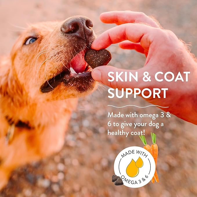 Shameless Pets Soft-Baked Dog Treats - Treats to Help Dog Health and Maintain Healthy Breath, Training Treats for Dogs, Made in The USA - 6 OZ