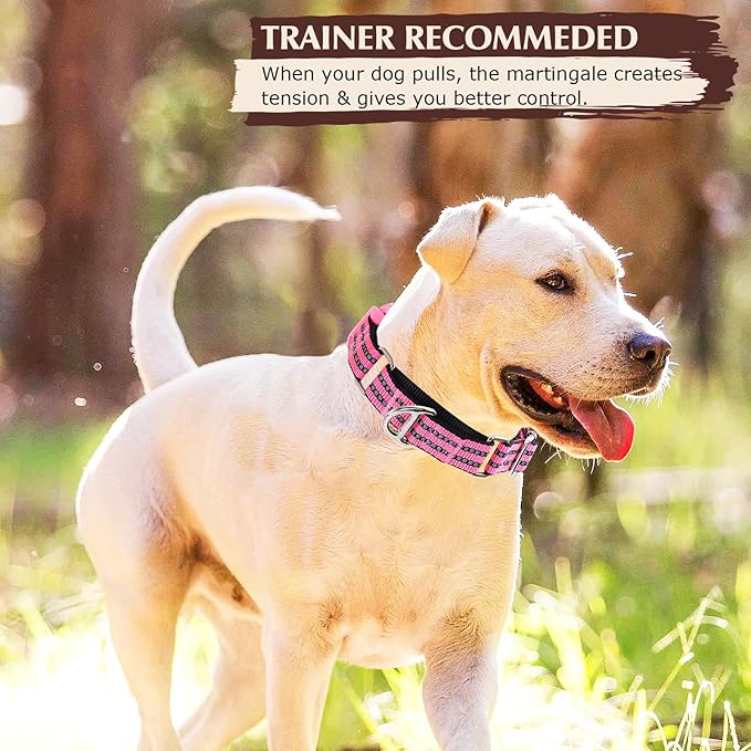 Martingale Collar for Dogs -Reflective Nylon Heavy Duty No Slip Choke Dog Collar with Padded Comfort Quick Release Buckle for Training, Walking & Overexcited Pulling Pink M