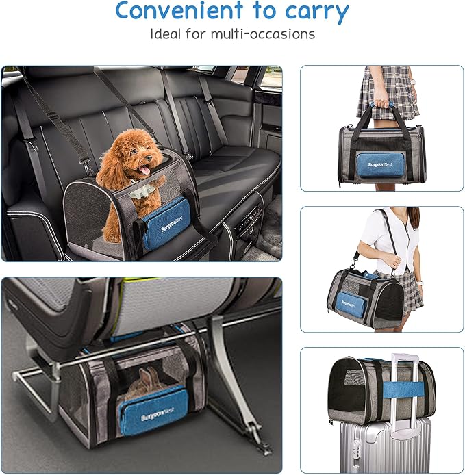 BurgeonNest Cat Carrier, Airline Approved Dog Carrier, Soft Sided Cat Pet Carrier for Small Medium Cats Dogs Under 20 lbs with Side Bag, Collapsible Travel Kitten Puppy Carriers, Blue
