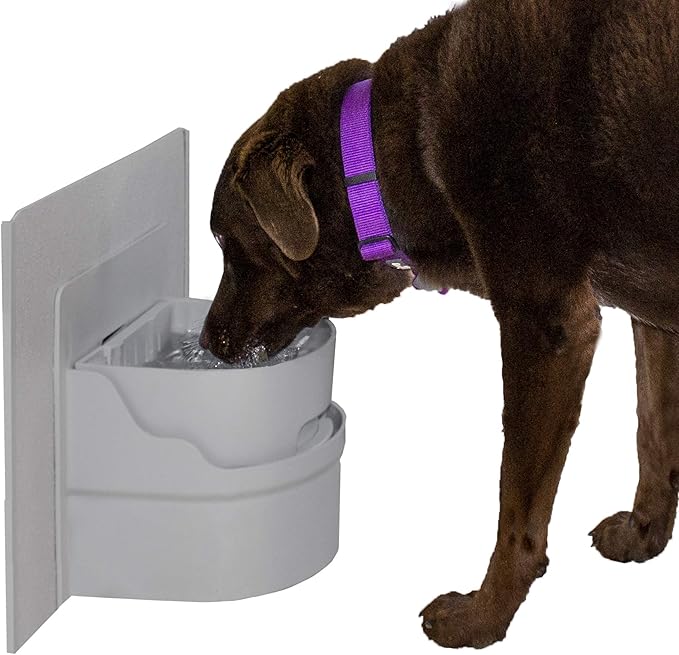 Perpetual Well Automatic Pet Water Bowl (Wall Mount)