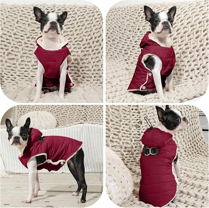 Fleece Lining Dog Hoodie with Harness Built in,Extra Warm Small Dog Jacket in Winter Puppy Coats with Drawstring Hooded,Red M