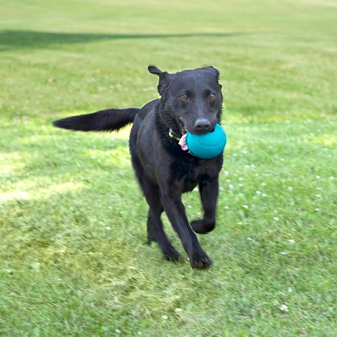 Chew King Flavored Rubber Ball Collection, 4 Inch Peanut Butter Flavor Rubber Balls 2-Pk