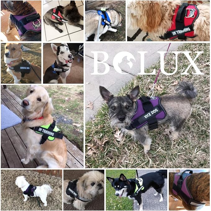 Bolux Dog Harness, No-Pull Reflective Dog Vest, Breathable Adjustable Pet Harness with Handle for Outdoor Walking - No More Pulling, Tugging or Choking ( Army Yellow, M )