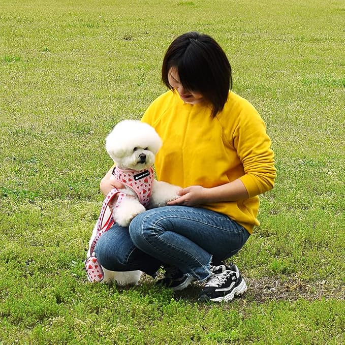 Dog Harness and Leash Set, Adjustable Dog Harness, Dog Leash, No Pull No Choke Puppy Harnesses for Walking Training for Small Medium Pet