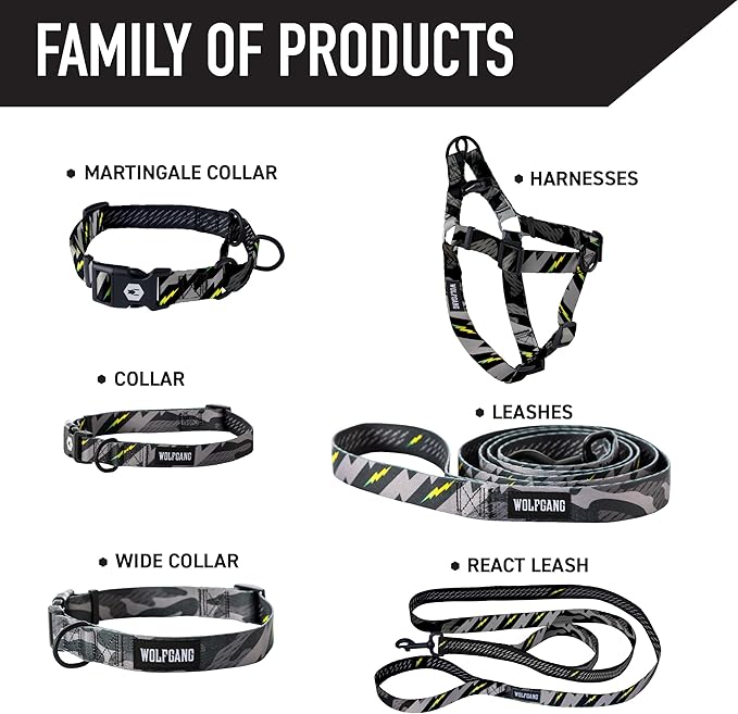 Wolfgang Heavy Duty Martingale Dog Collar with Quick Release Nylon Buckle for Walking & Training, DarkSkies Print, Large