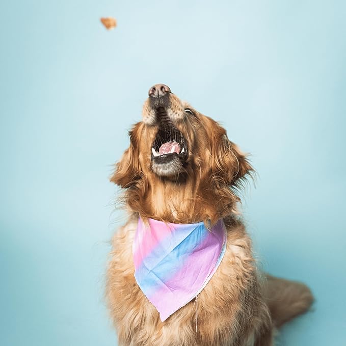 Ride & Vibe Dog Treats, Wild Caught Salmon Jerky, Snack Bars, Puppy Training Treats, Natural Superfood, Grain, Corn, Poultry & Soy Free, 5oz