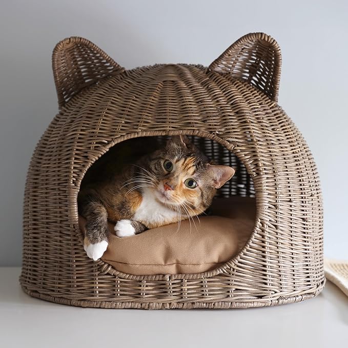 CBD1000A Cat Ear 20" x 14.5" Coastal Handwoven Rattan Cat Bed with Machine-Washable Cushion, Natural