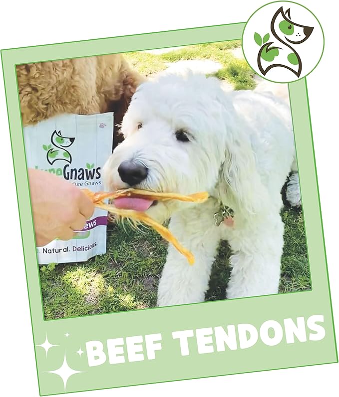 Nature Gnaws Beef Tendons for Dogs (1Lb) - Mixed Thickness - Long Lasting for Small and Medium Dogs - Natural Beef Jerky Dog Chew Bones - Rawhide Free