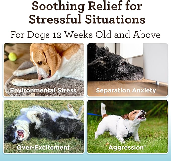 VetPro Advanced Calming Aid, Dog Anxiety Treats, Enhanced with Organic Hemp Seed Oil, Veterinarian Formulated Dog Calming Treats