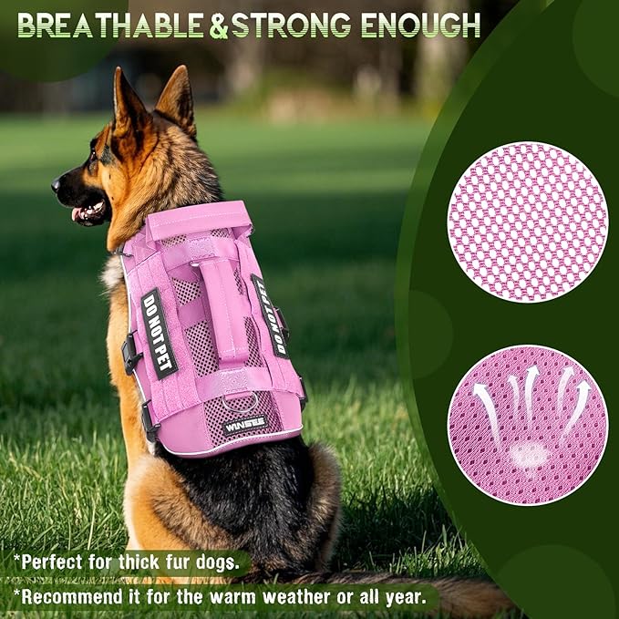 WINSEE Mesh Dog Harness with 10 Pet Patches for Small Service Dog in Training, Breathable Tactical Molle Vest with Double Handle, Reflective Military Pet Vest for Walking Hiking