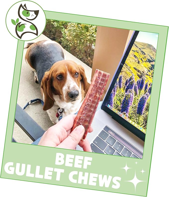 Nature Gnaws Beef Gullet Chews for Small Dogs 4-5" (10 Count) - Natural Beef Jerky Stick Dog Chew Treats - Rawhide Free
