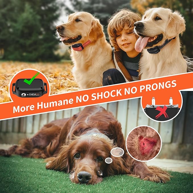 PaiPaitek Dog Vibration Collar with Controller for 2 Dogs No Shock, 9 Types of Beeps and Vibrations, 3300ft Range & Upgraded Waterproof Training Collar for Dogs 5-120lbs - No Prongs