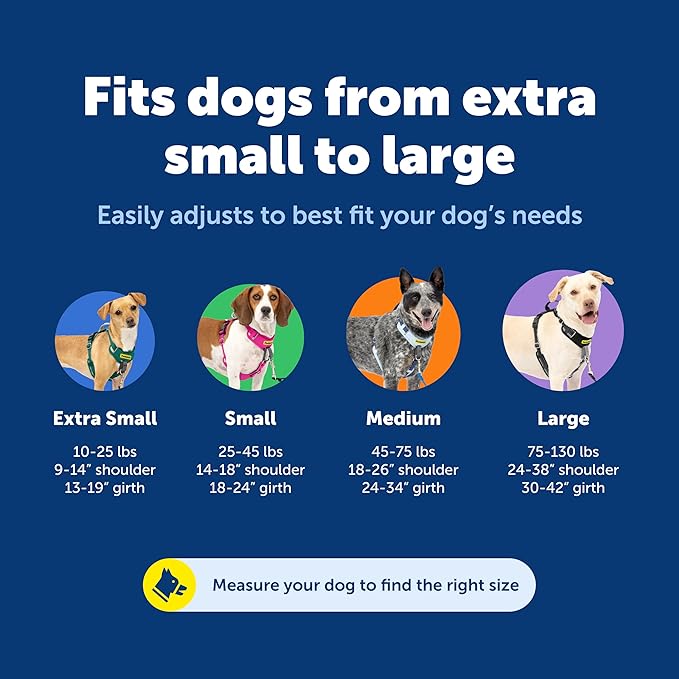 PetSafe Easy Walk Comfort No-Pull Dog Harness - Better Walk Training Harness - Full Body Padded Design - Durable Fabric - 5 Point Adjustable Fit - Everyday Leash Training - Blue - X-Small