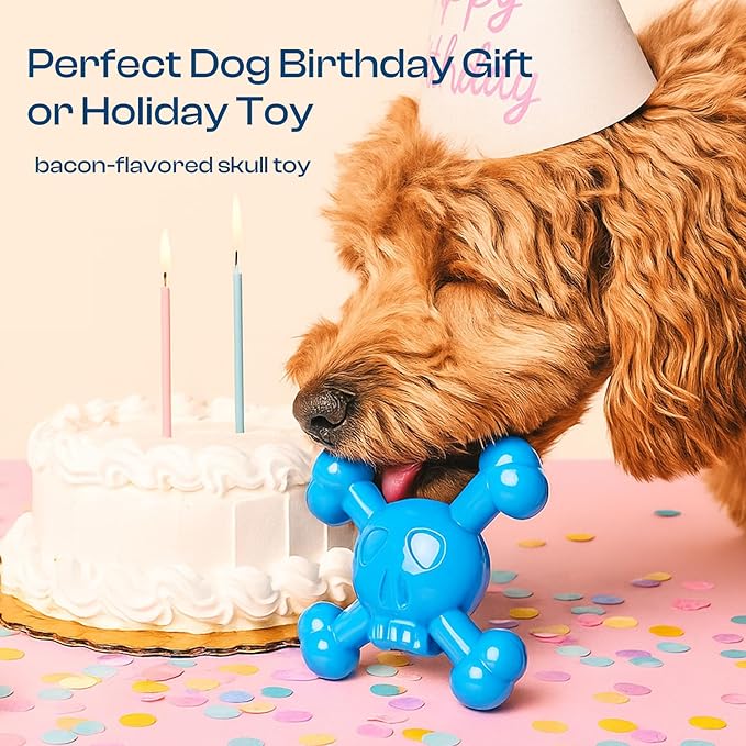 Dog Chew Toys for Aggressive Chewers – Indestructible Nylon Bone for Puppy Teething,Tough Chew Toy for Small Dogs, Bacon Flavor and Outdoor Fun, Skull Design