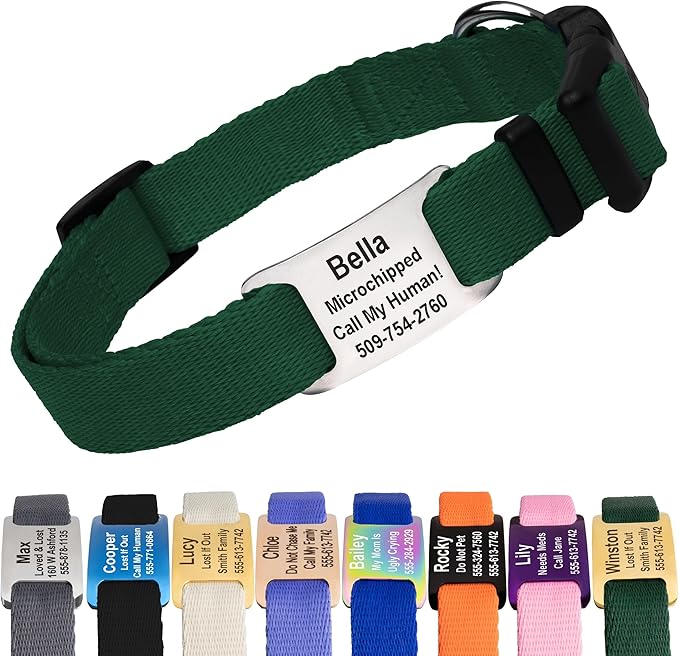 GoTags Personalized Dog Collar with Nameplate, Adjustable Dog Collar with Custom Engraved Slide On Pet ID Tag in Stainless Steel, Silent, No Noise Dog Tag (Hunter Green, X-Small)